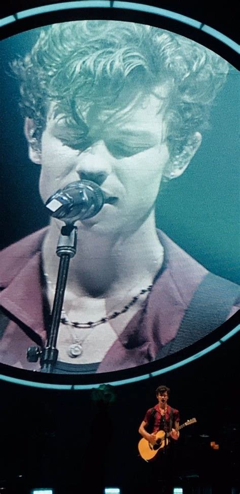 Shawn Mendes/Original Male Character(s) .